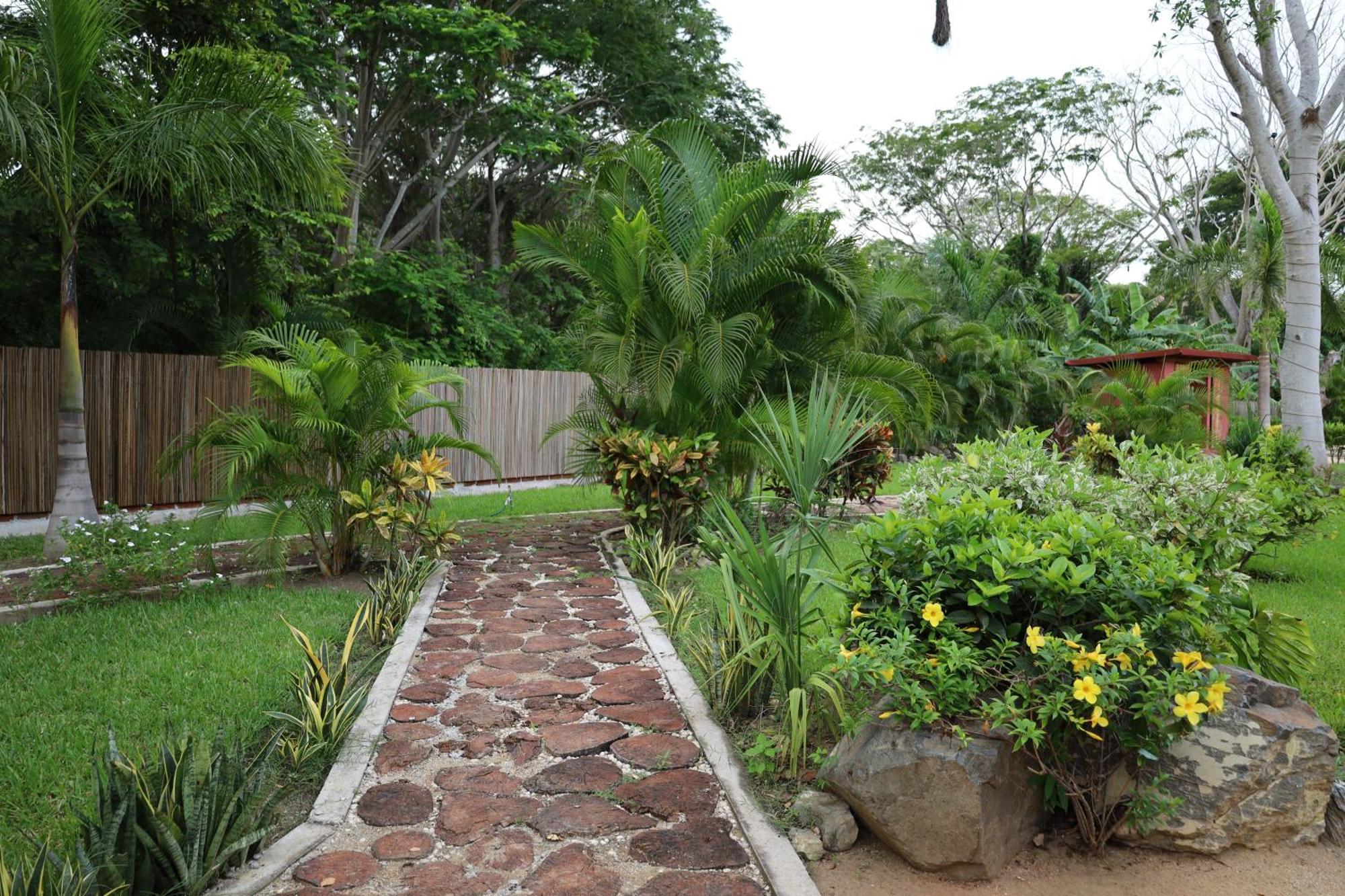 Solez Zihuatanejo Aparthotel Exterior photo